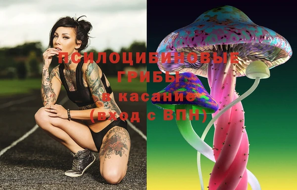 амф Баксан