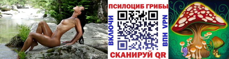 kraken зеркало  Нязепетровск  darknet клад  Псилоцибиновые грибы MAGIC MUSHROOMS 